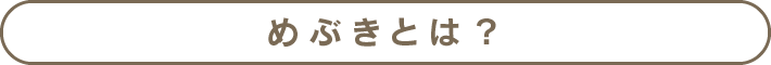 めぶきとは？