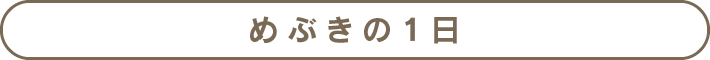 めぶきの1日